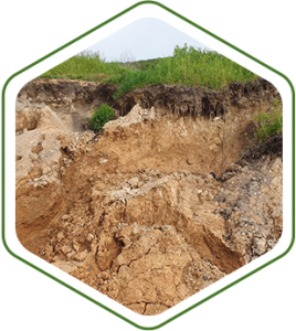 Faites l’analyse de la perméabilité de votre terrain et l’étude de la composition du sol.